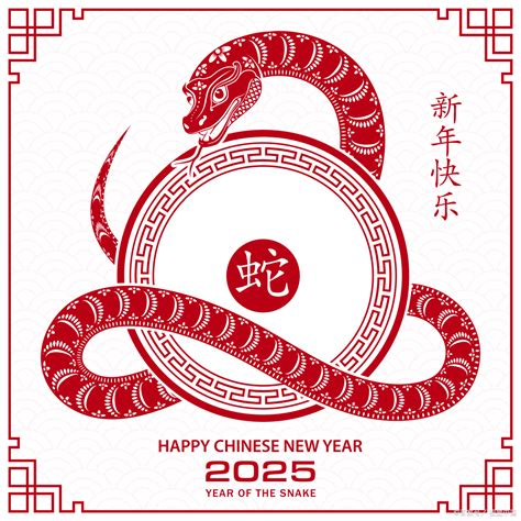 2025是什么年